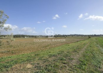 Foto 49 - Rustico Località Comune, Lucignano - foto 49