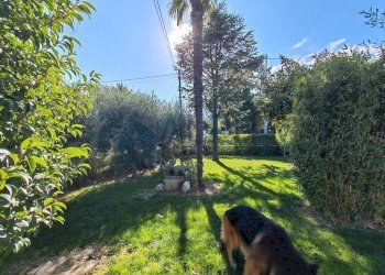 Giardino - Villa strada Comunale Rubicone Destra, Savignano sul Rubicone - foto 20