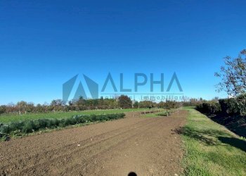 Terreno - Villa strada Comunale Rubicone Destra, Savignano sul Rubicone - foto 25