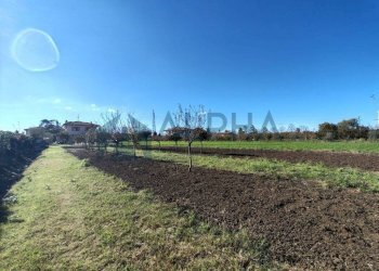 Terreno - Villa strada Comunale Rubicone Destra, Savignano sul Rubicone - foto 26