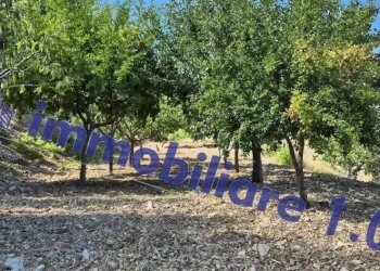 Terreno - Villa via per Monte Bonifato, Alcamo - photo 23