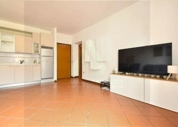 Trilocale Forlì - foto 4