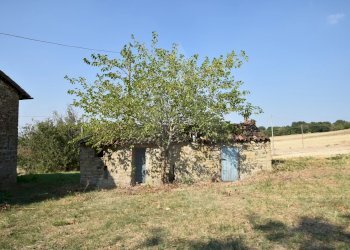 Casale Civitella di Romagna - foto 3