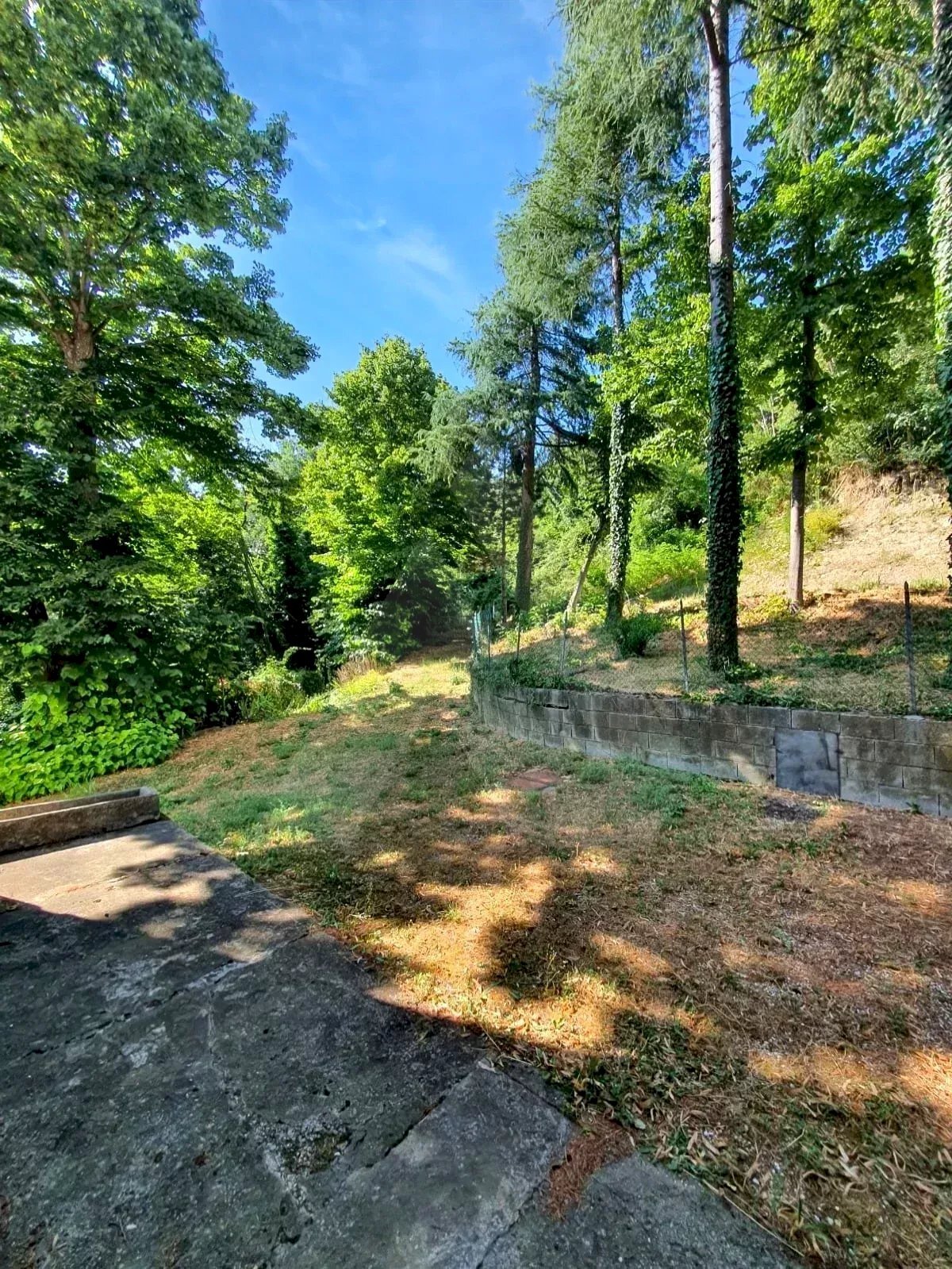 Casale Dovadola - foto 3