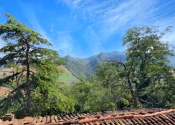 Casale Dovadola - foto 15