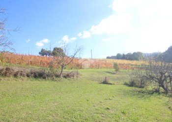 Casa indipendente Via Candiano, Cesena - foto 17