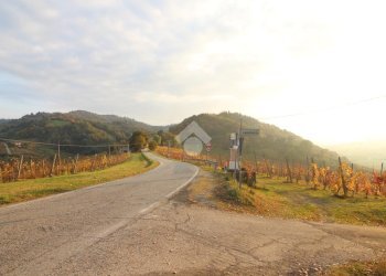 Casa indipendente Via Candiano, Cesena - foto 22