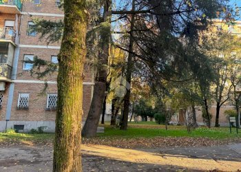 Trilocale Via Arezzo, Milano (zona Niguarda) - foto 14