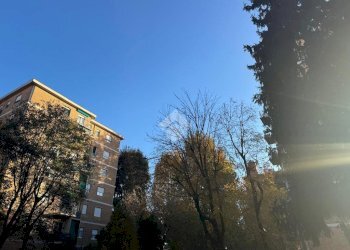 Trilocale Via Arezzo, Milano (zona Niguarda) - foto 15