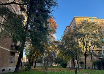 Trilocale Via Arezzo, Milano (zona Niguarda) - foto 16