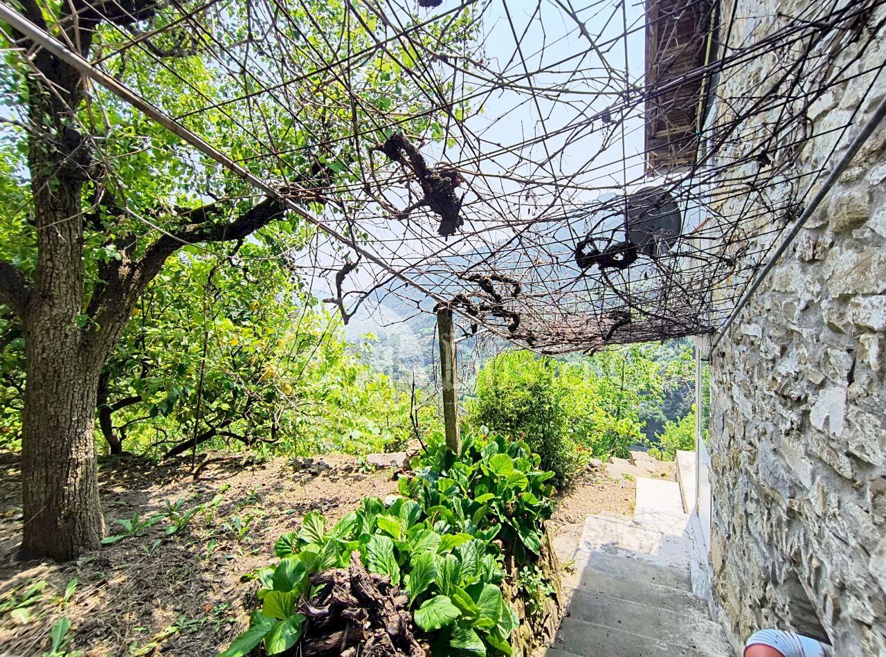 Independent house Località Meso, Dolceacqua - photo 3