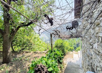 Independent house Località Meso, Dolceacqua - photo 3