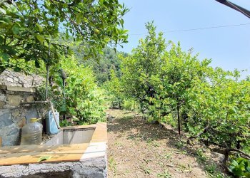 Independent house Località Meso, Dolceacqua - photo 4