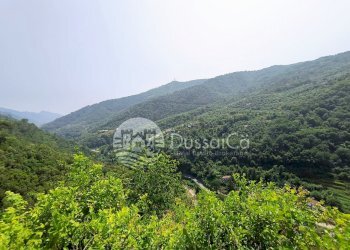 Independent house Località Meso, Dolceacqua - photo 2
