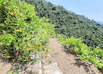 Independent house Località Meso, Dolceacqua - photo 17