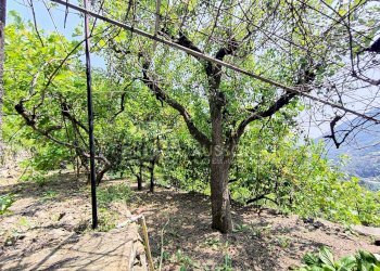 Independent house Località Meso, Dolceacqua - photo 18