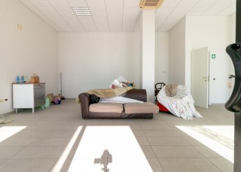 Negozio Via Silver Sirotti, Forlì - foto 4