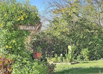 Appartamento Ancona - foto 31