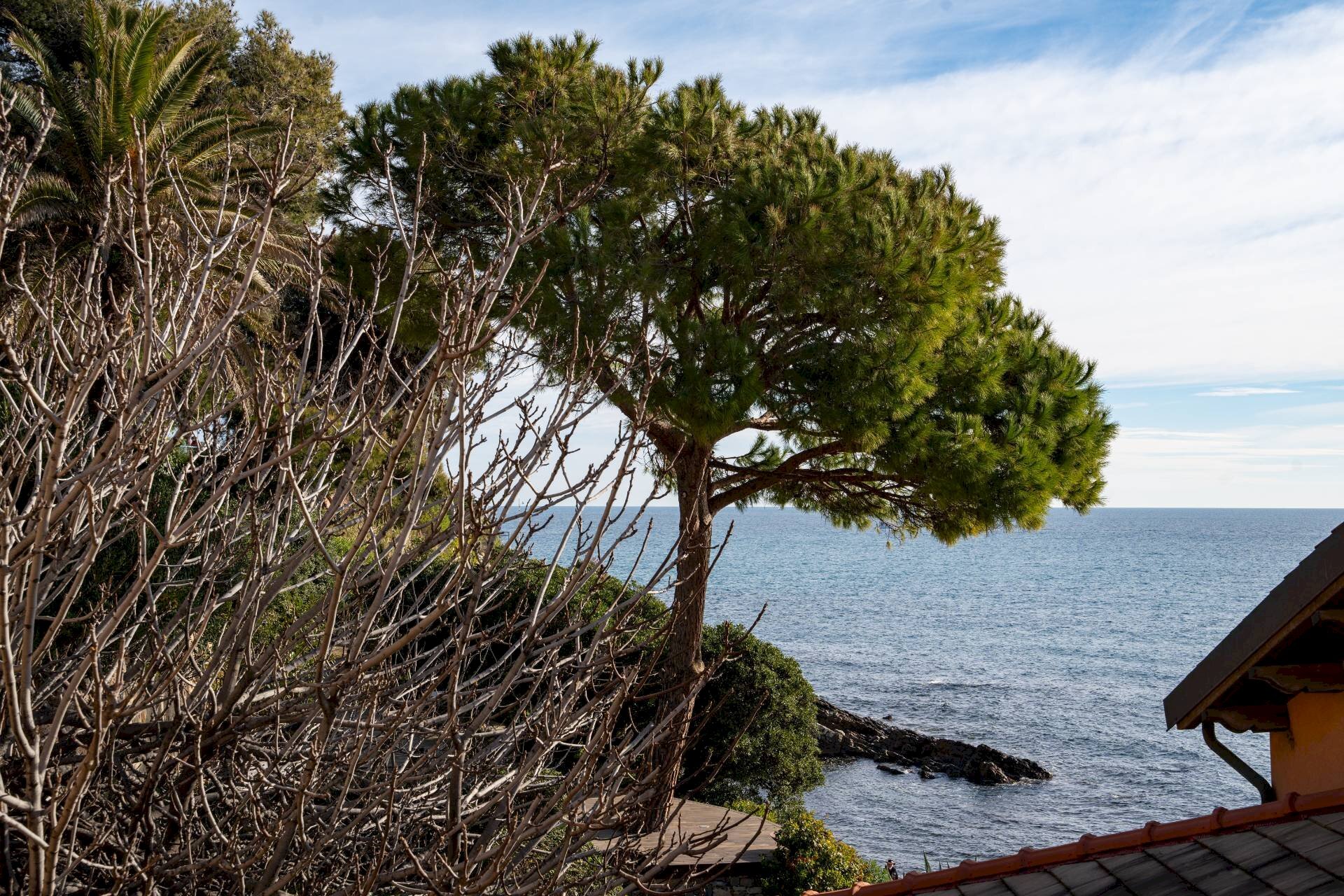 Attico Imperia - foto 2