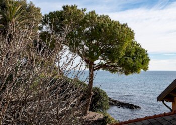 Attico Imperia - foto 2