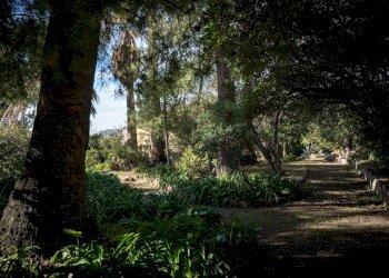 Attico Imperia - foto 24