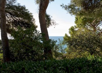 Attico Imperia - foto 31