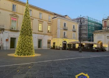 Foto 1 - Bar Tavola Calda - Fredda Capua - foto 1