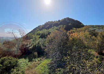 Foto 19 - Independent house Via Fraioli
 
snc, Rocca d'Arce - photo 19