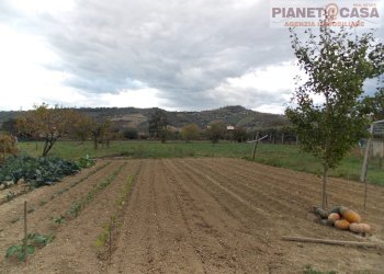 Foto 3 - Terreno edificabile Via Ottantatreesima Strada, Monteprandone - foto 3