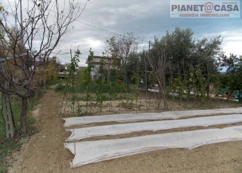 Foto 6 - Terreno edificabile Via Ottantatreesima Strada, Monteprandone - foto 6