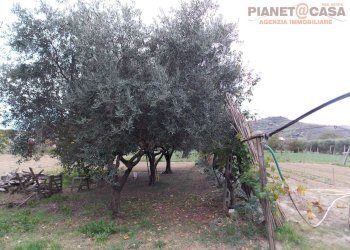 Foto 7 - Terreno edificabile Via Ottantatreesima Strada, Monteprandone - foto 7