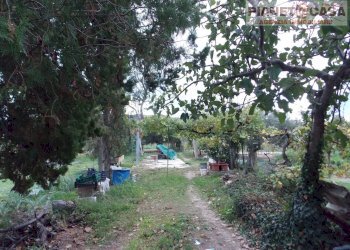 Foto 10 - Terreno edificabile Via Ottantatreesima Strada, Monteprandone - foto 10