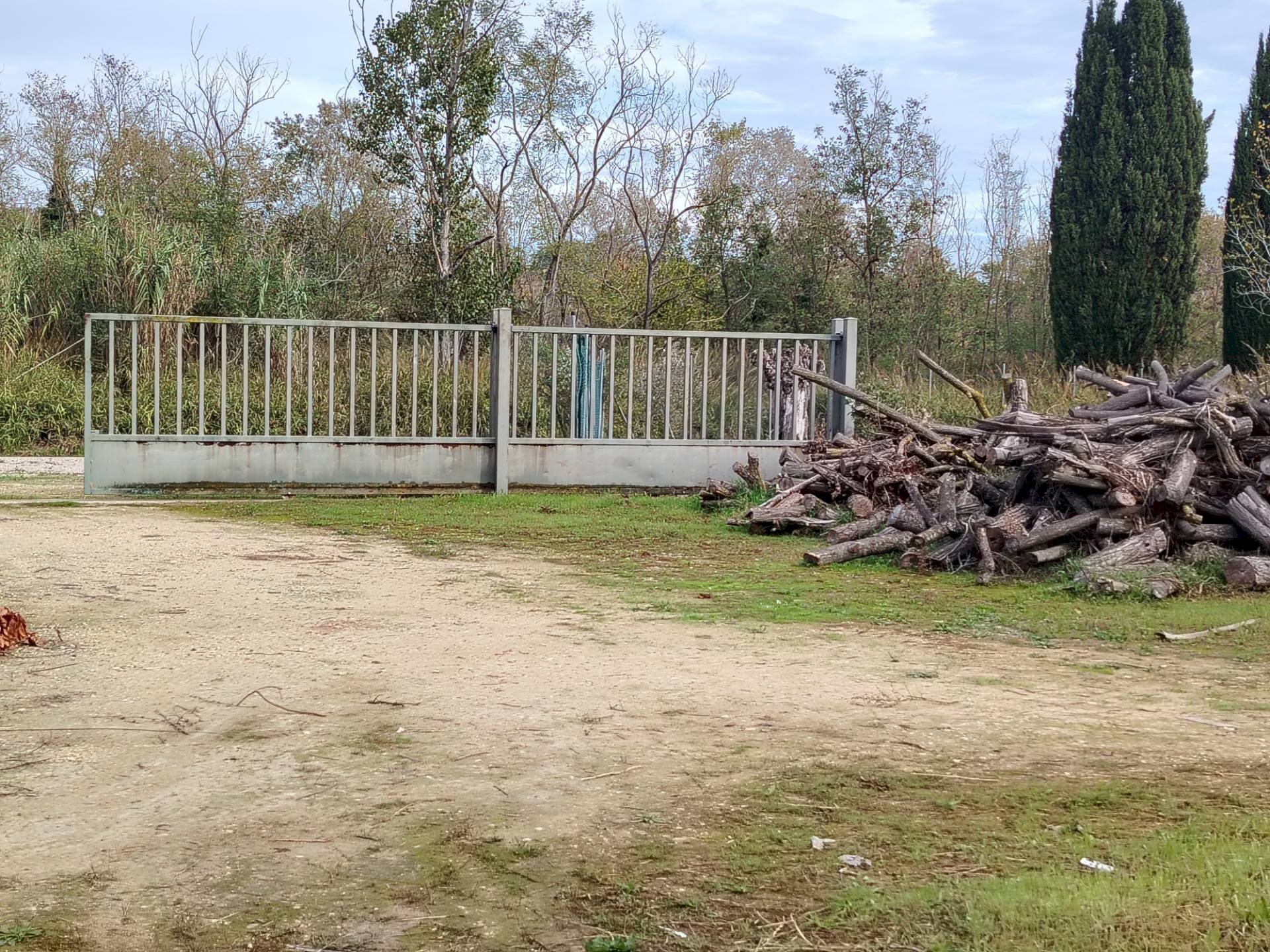 Foto 1 - Terreno agricolo C.da Congiunti, Collecorvino - foto 1