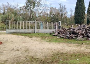 Foto 1 - Terreno agricolo C.da Congiunti, Collecorvino - foto 1