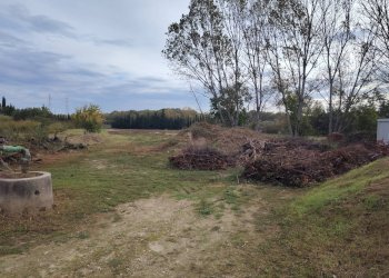 Foto 4 - Terreno agricolo C.da Congiunti, Collecorvino - foto 4