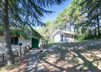 Foto 37 - Villa S.P. Santa Severa - Tolfa
 
km. 17.500, Allumiere - foto 37