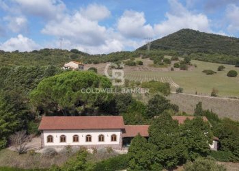 Foto 46 - Villa S.P. Santa Severa - Tolfa
 
km. 17.500, Allumiere - foto 46