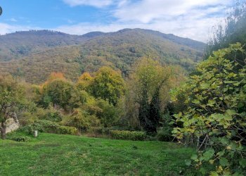 Foto 11 - Casa semi indipendente Bormida - foto 11