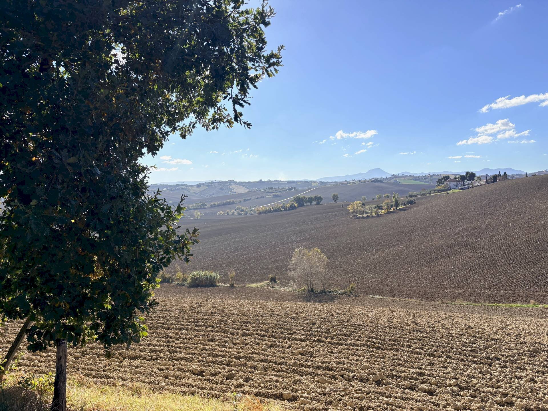 Foto 1 - Rustico via Longola, Belvedere Ostrense - foto 1