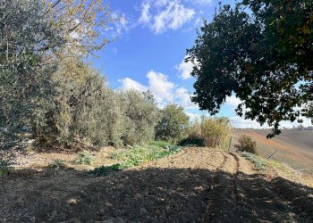 Foto 2 - Rustico via Longola, Belvedere Ostrense - foto 2