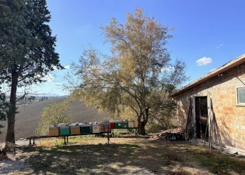 Foto 4 - Rustico via Longola, Belvedere Ostrense - foto 4