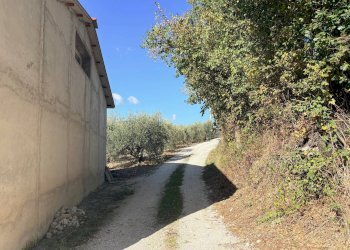 Foto 8 - Rustico via Longola, Belvedere Ostrense - foto 8