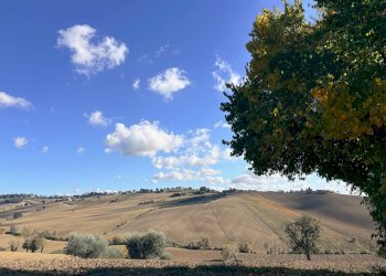 Foto 10 - Rustico via Longola, Belvedere Ostrense - foto 10