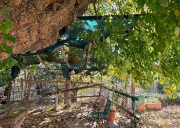 Foto 11 - Rustico via Longola, Belvedere Ostrense - foto 11