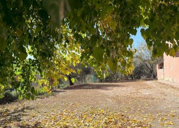 Foto 12 - Rustico via Longola, Belvedere Ostrense - foto 12