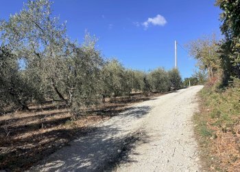 Foto 17 - Rustico via Longola, Belvedere Ostrense - foto 17