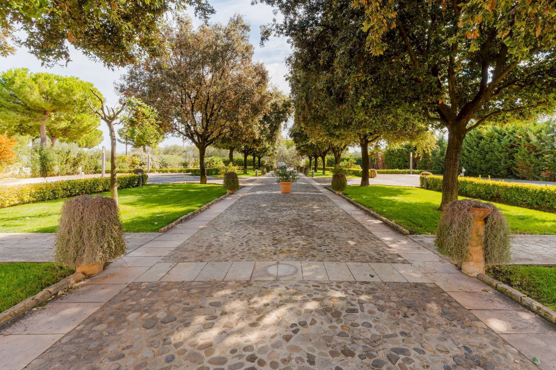 Foto 2 - Villa SP Molfetta - Terlizzi KM 2, 7
 
SC, Molfetta - photo 2