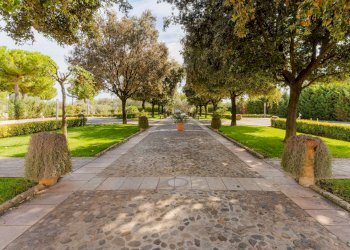 Foto 2 - Villa SP Molfetta - Terlizzi KM 2, 7
 
SC, Molfetta - photo 2