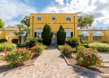 Foto 34 - Villa SP Molfetta - Terlizzi KM 2, 7
 
SC, Molfetta - photo 34