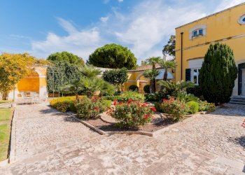 Foto 35 - Villa SP Molfetta - Terlizzi KM 2, 7
 
SC, Molfetta - photo 35